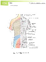 Sobotta  Atlas of Human Anatomy  Trunk, Viscera,Lower Limb Volume2 2006, page 43